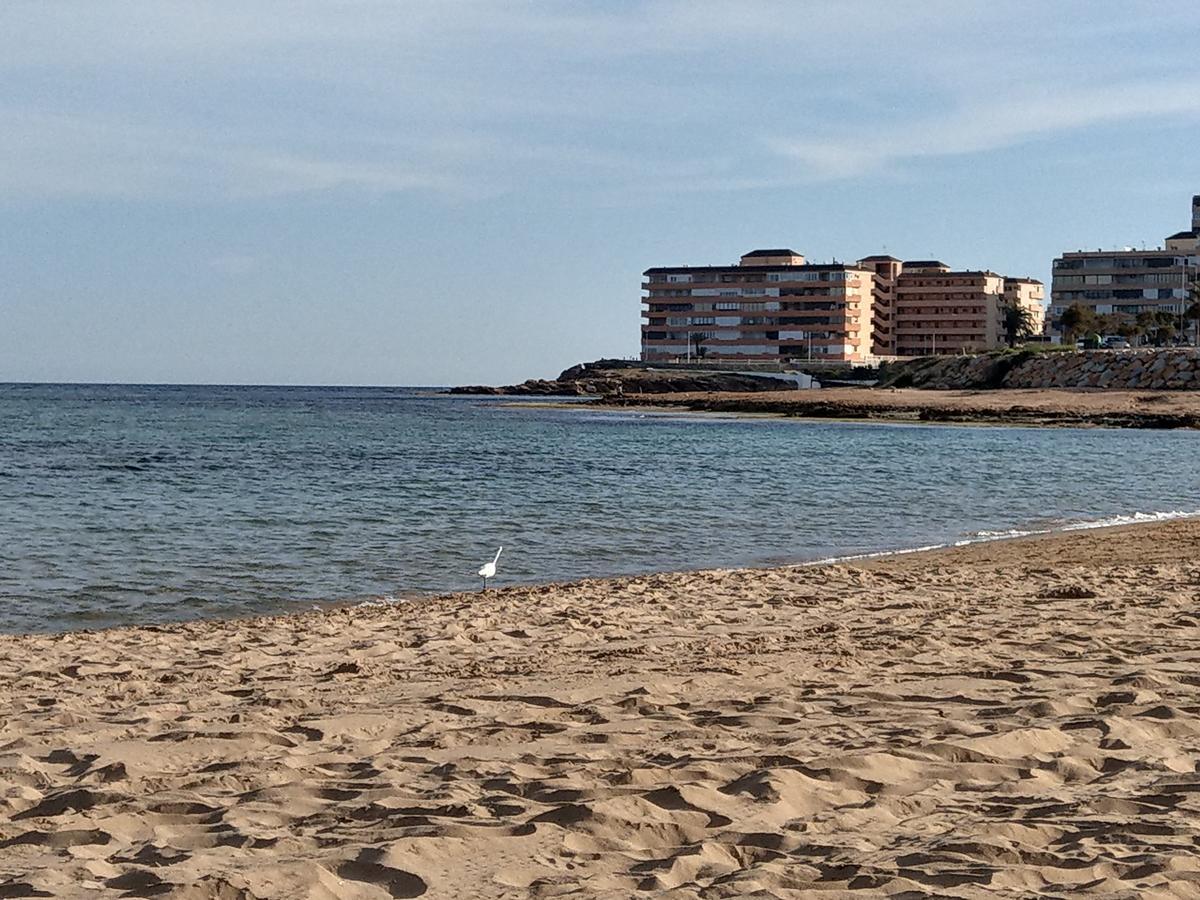 Ferienwohnung Torrevieja Exterior photo